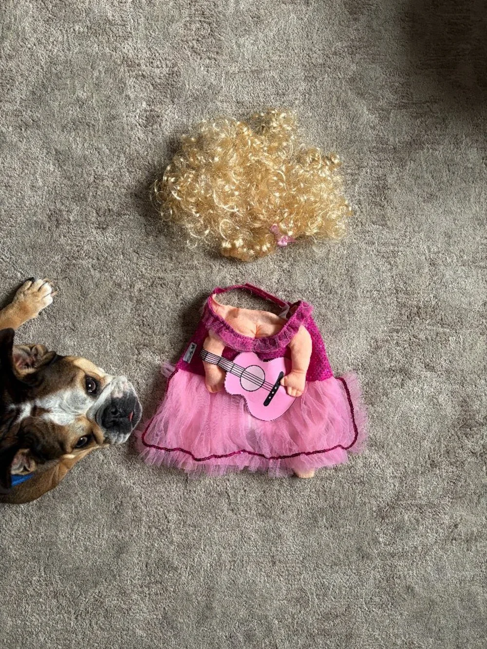Doggy Dolly Parton Pink Dress Guitar & Wig Dog Halloween Costume Set M/L